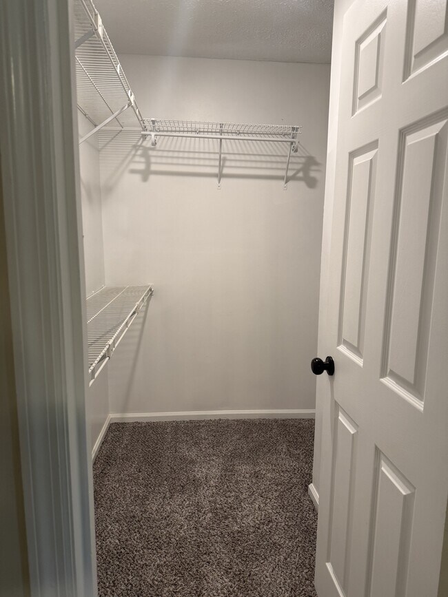 Building Photo - 90 Brown Pelican Dr