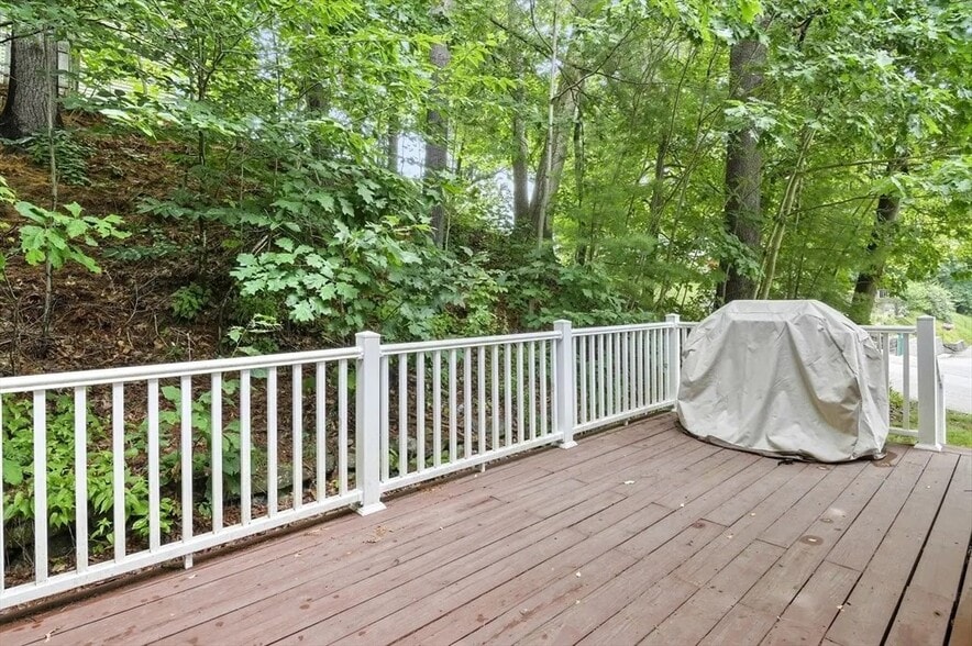 Private Deck - 74 Ward St