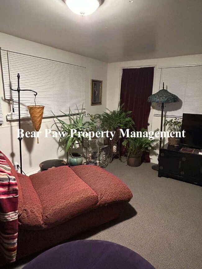 Building Photo - Adorable cabin in Evergreen!