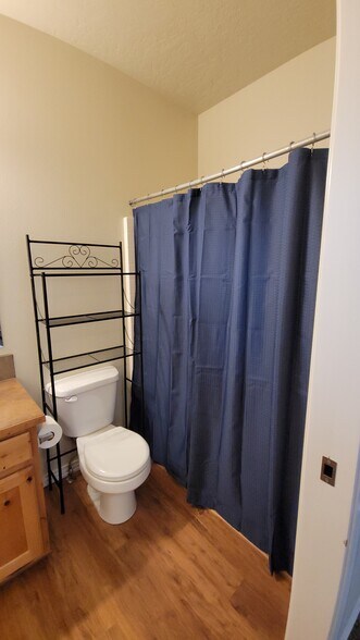 Downstairs, private bathroom - 2127 S Leadville Ave