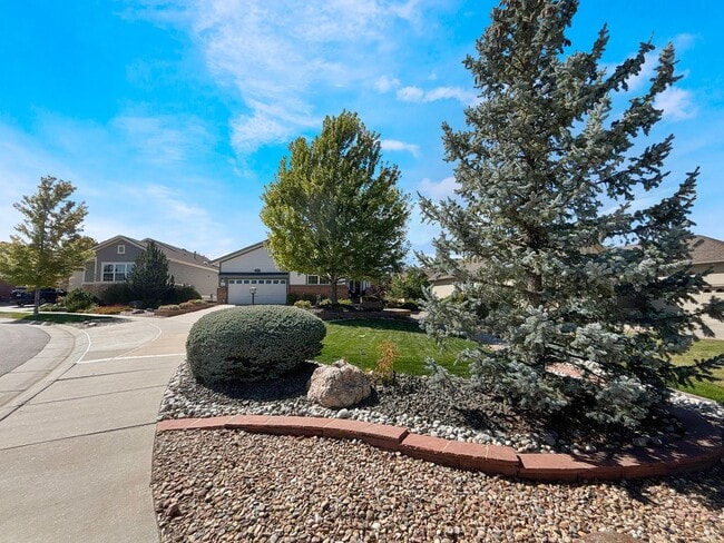 Building Photo - 8163 S Quemoy Cir