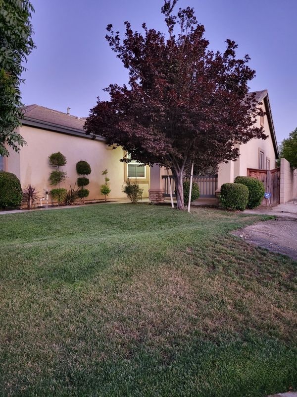 Building Photo - 2274 Purple Finch Ct