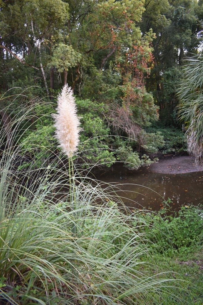 Natural Surroundings - 4836 Atlantic Blvd