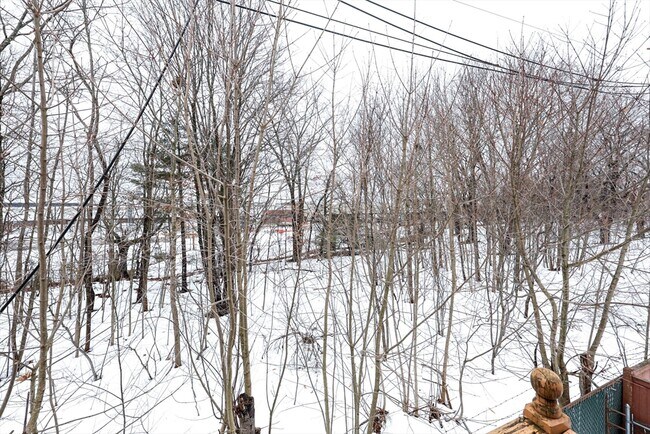 Building Photo - 65 Clifford St