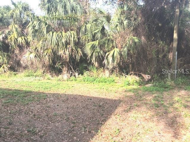 Building Photo - 232 Bamboo Dr