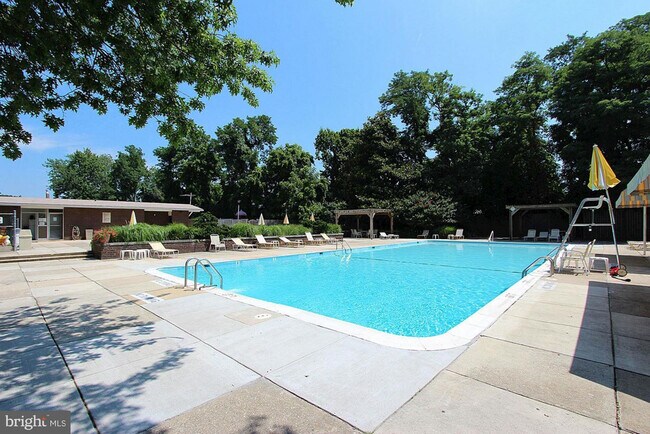 Building Photo - Beautiful 1 BR 1 BA condo at The Forum