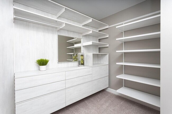 Master closet - 828 Bobcat Ave