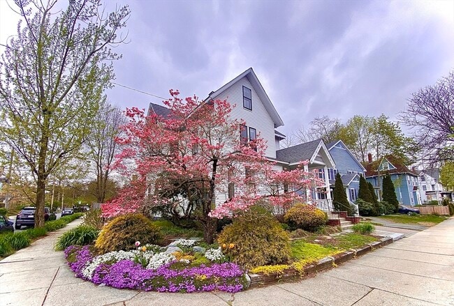 Building Photo - 209 Walnut St