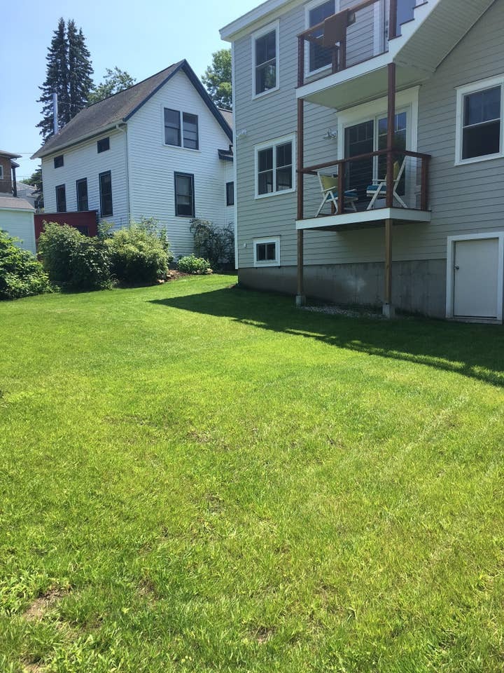 Nice back yard with raspberry and blackberry bushes - 11 Henry St