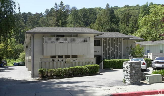 Primary Photo - California Palms