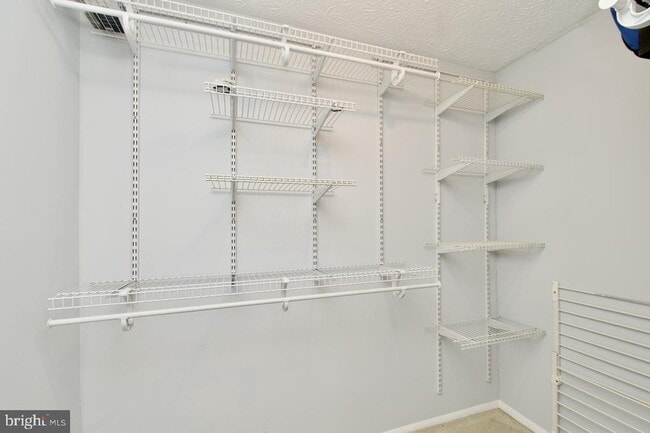 Building Photo - 11732 Mossy Creek Ln