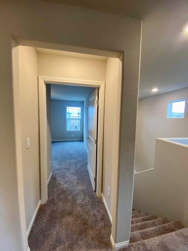 Building Photo - 3816 Antilia Ave