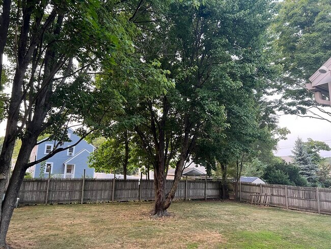 Building Photo - 5-7 Oran Rd