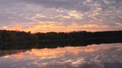 Building Photo - 2611 Commerce Blvd