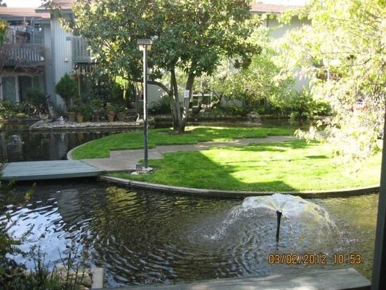 Building Photo - Spacious 1 bedroom/1 bathroom downstairs condominium.