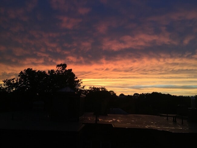 Building Photo - 29 Concord Ave