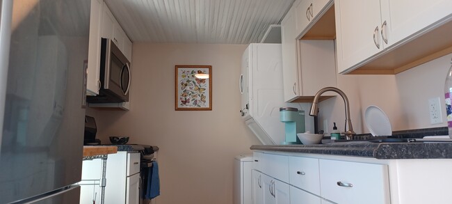 Kitchen with washer/dryer - 205 Douglas Avenue