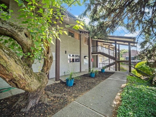Building Photo - Modern Comfort: 1-Bedroom Apartment with B...