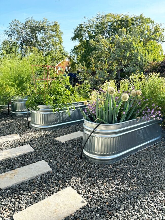 Building Photo - UPDATED THREE BEDROOM TWO BATH ONE-LEVEL EAST CORTE MADERA HOME WITH STUNNING OUTDOOR SPACE