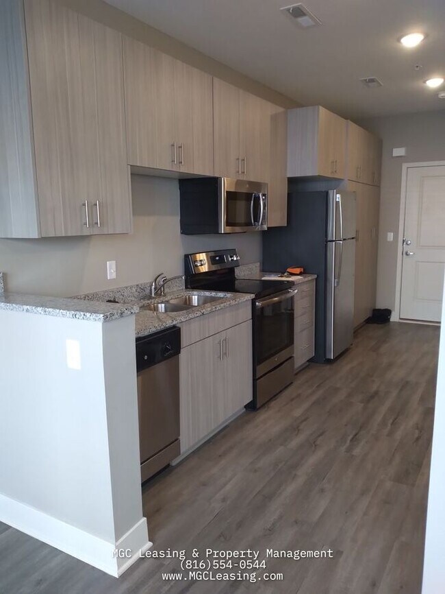 Building Photo - Studio living in style - North of the River in KCMO