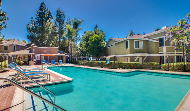 Take a dip in one of our three heated pools - Island Club Apartments