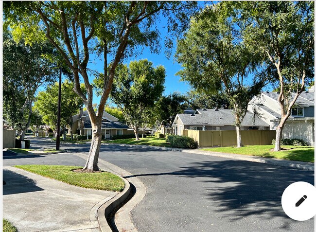 Neighborhood - 39 Thicket