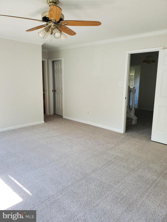 Building Photo - 261 Tulip Tree Ct