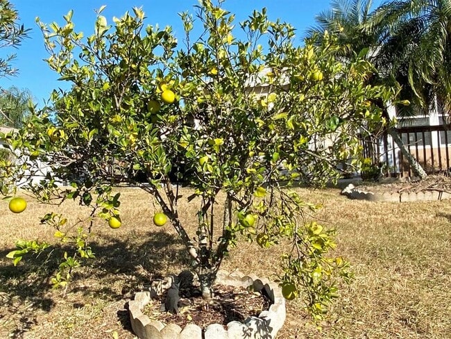 Building Photo - 1019 Penguin Pl