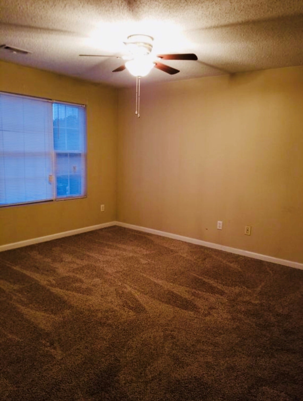 Building Photo - 4925 Sierra Way