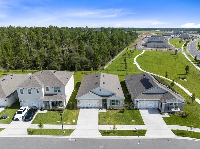 Building Photo - 2520 Harmonia Hammock Rd