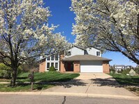 Building Photo - 3240 Bellflower Ct
