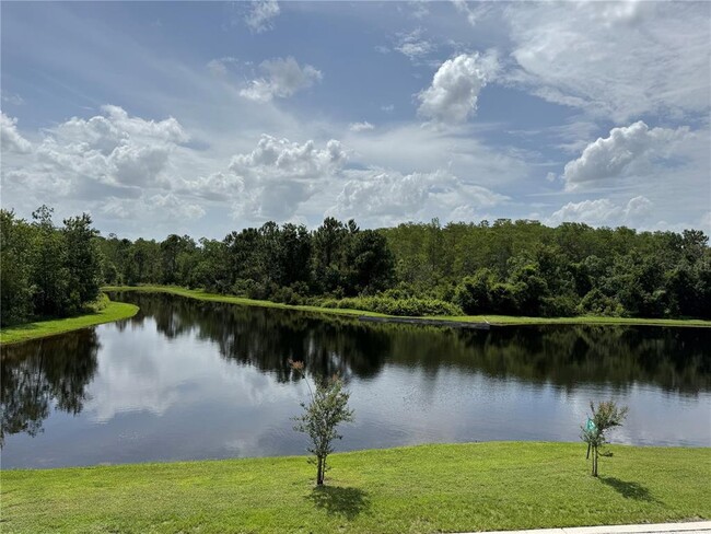 Building Photo - 10387 Winding Marsh Trail
