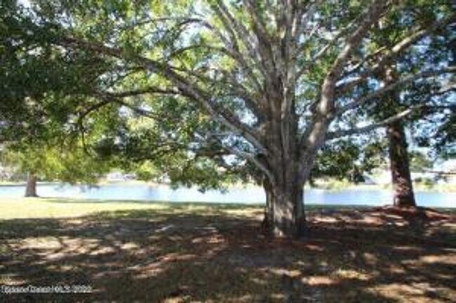 Building Photo - Great Property