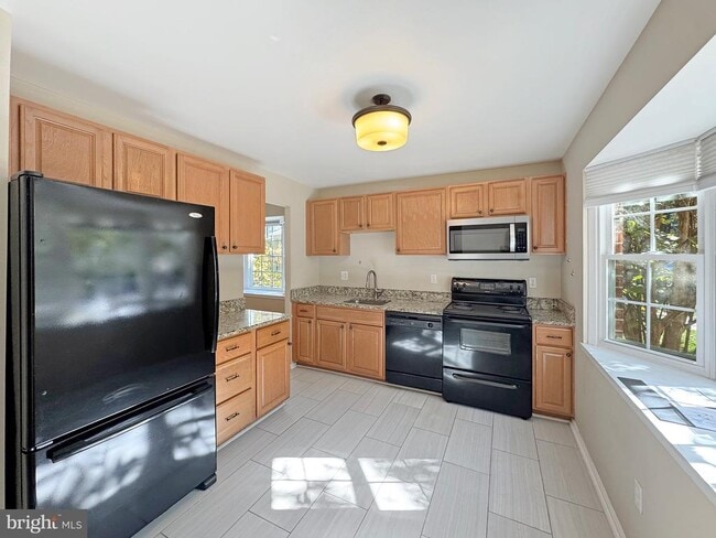 Building Photo - 11736 Dry River Ct