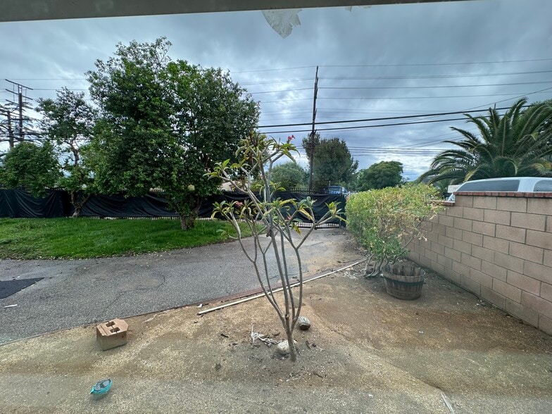 Front west yard - 11305 Sheldon St