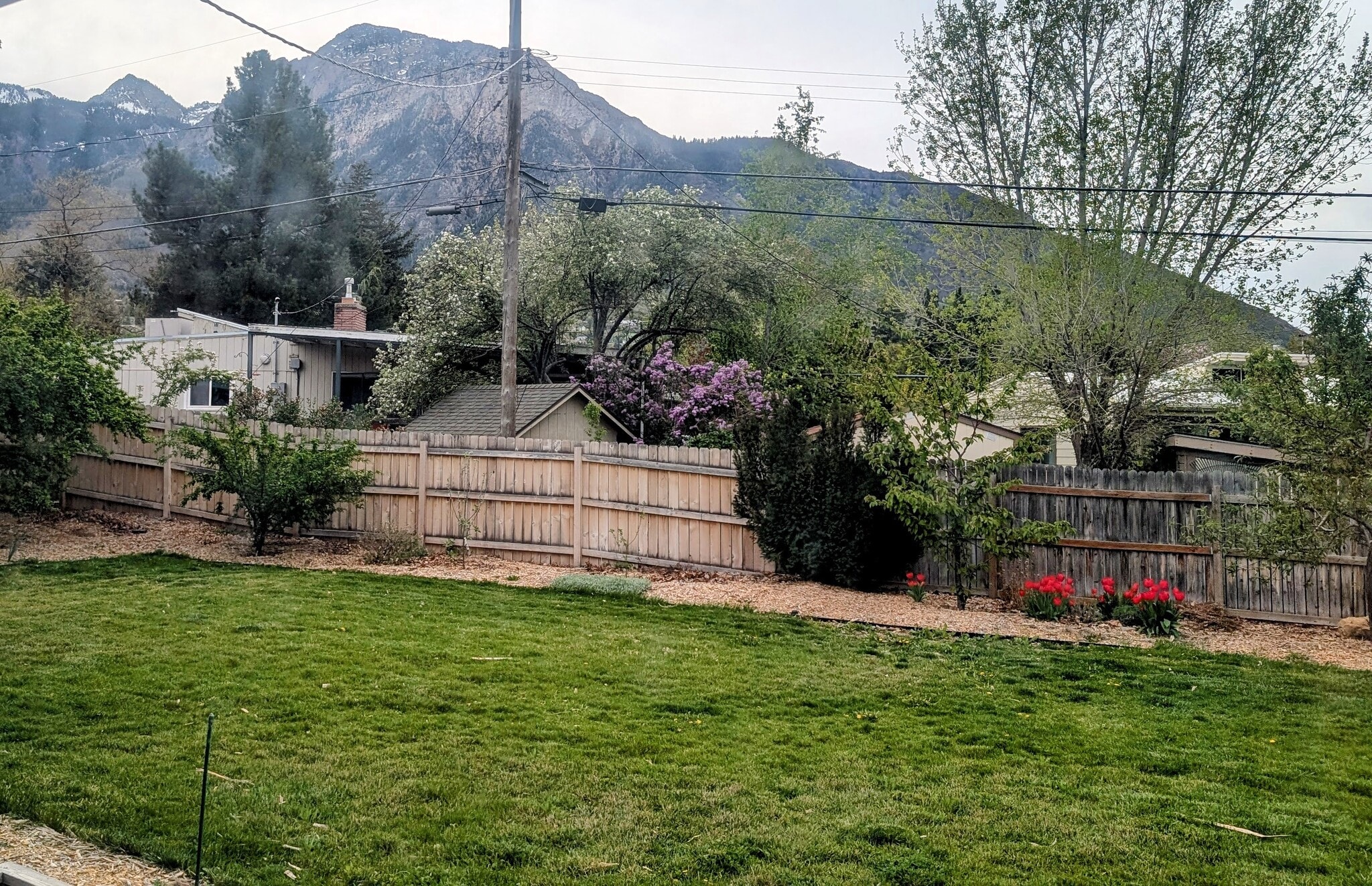 Portion of fully fenced backyard - 3230 E 3900 S