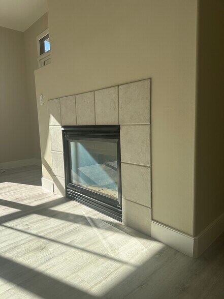 gas Heatglo fireplace - 30 E Julian St