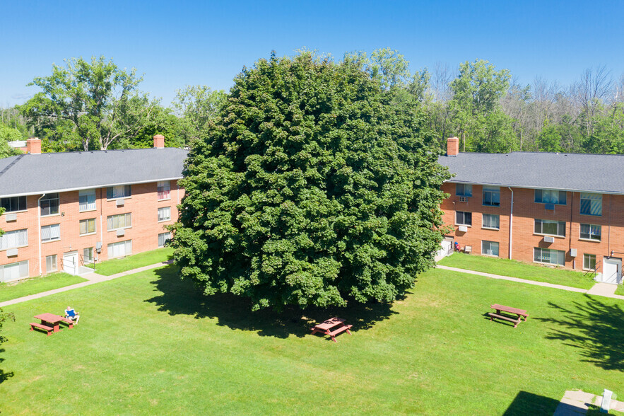 Primary Photo - Webster Park Apartments