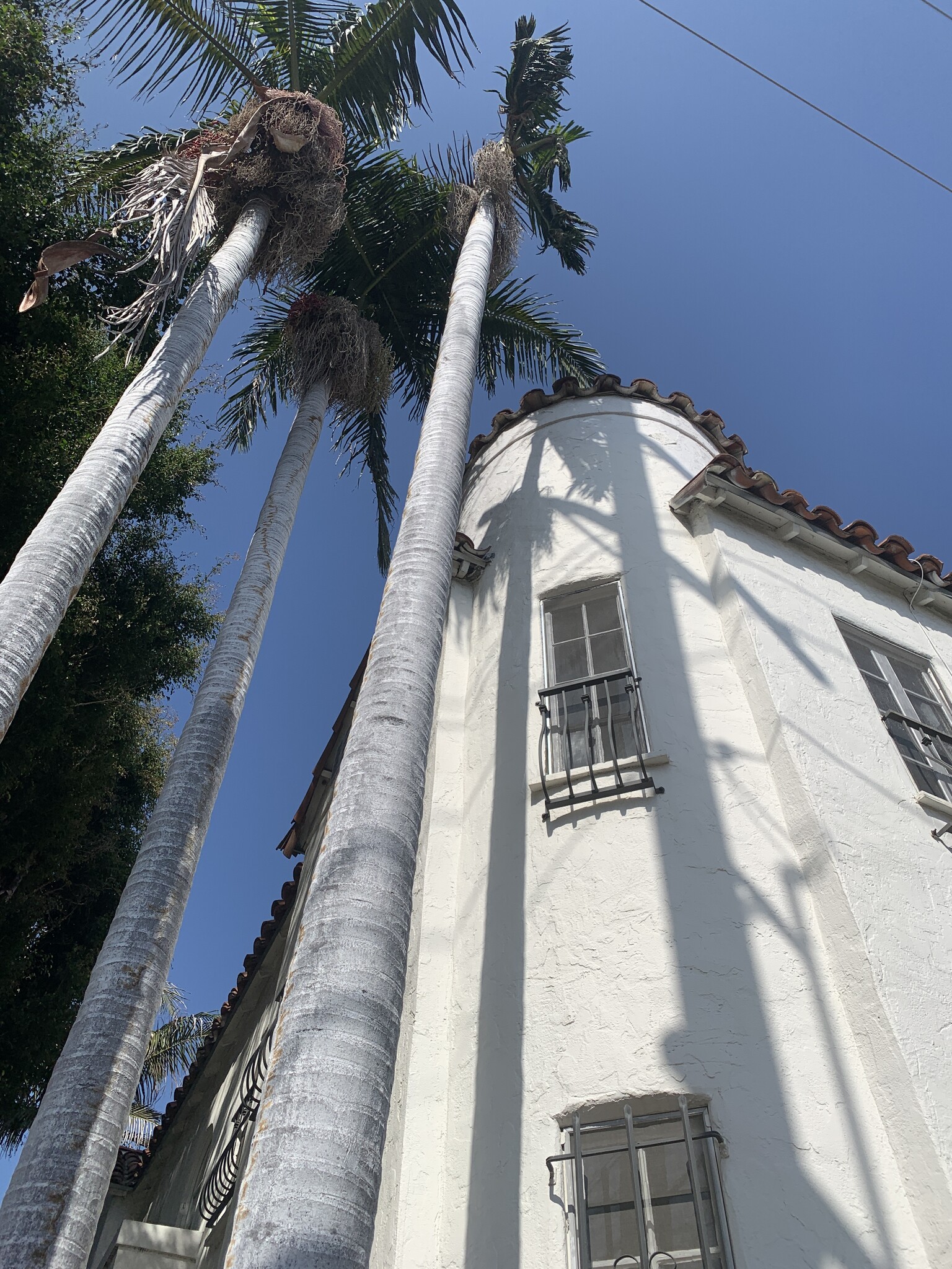 Building Photo - 802 N Sweetzer Ave