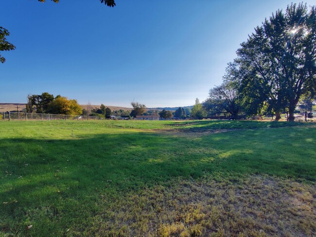 Building Photo - Country Setting with pasture for large ani...