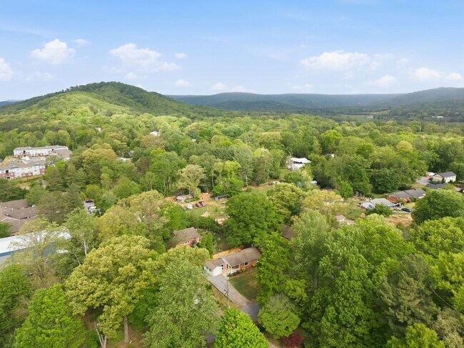 Building Photo - Charming home in Swannanoa, NC