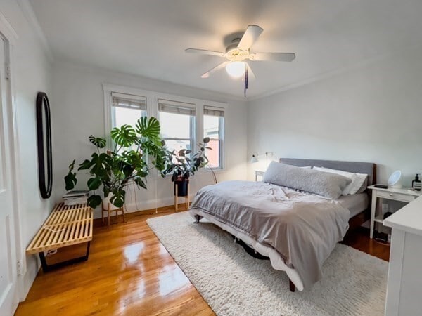 Building Photo - 23 Goldsmith St