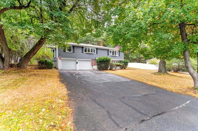 Primary Photo - 35 Lanewood Ave