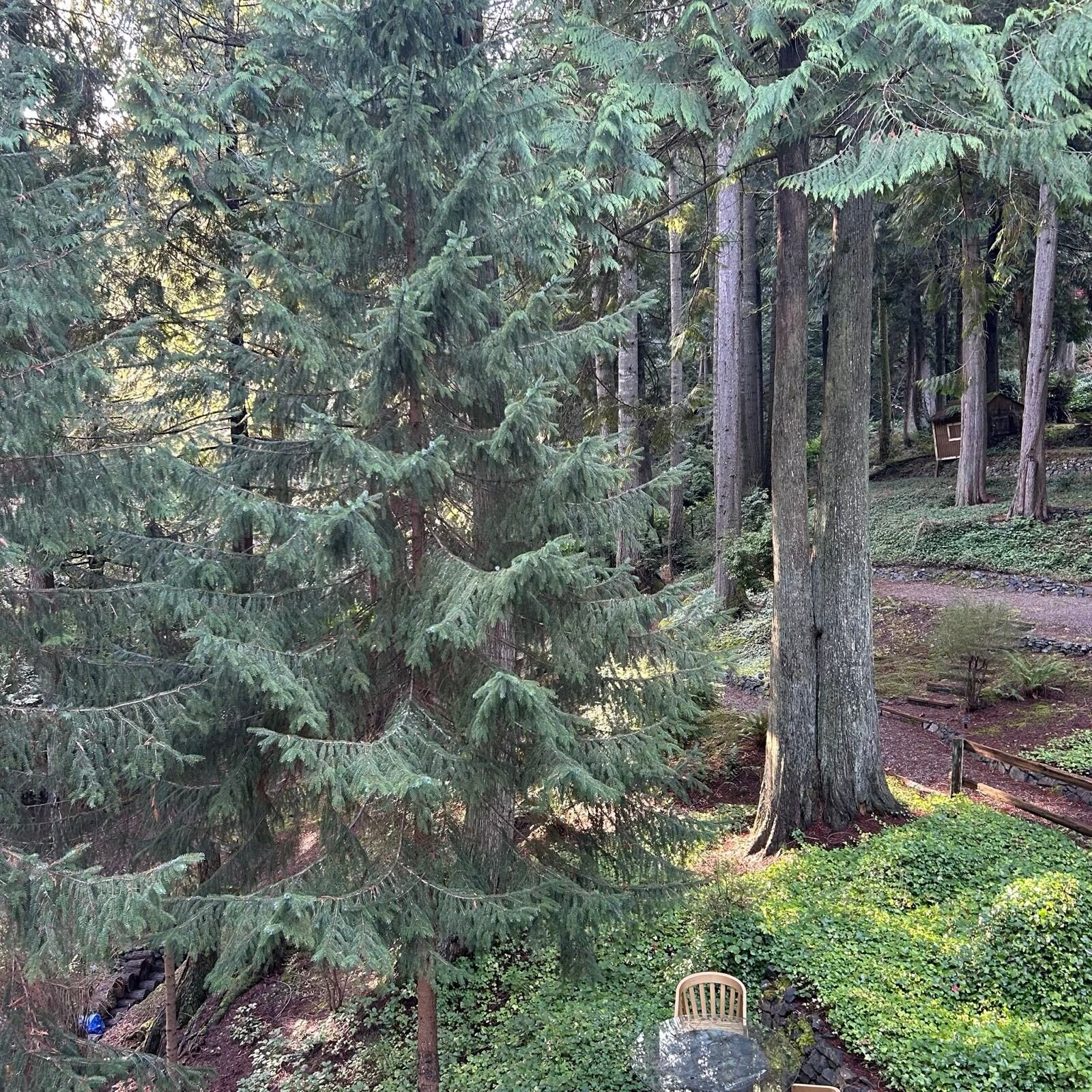 Building Photo - 3522 124th Street Ct NW