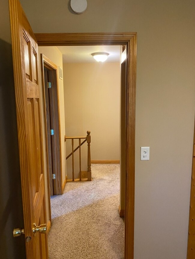 Building Photo - 1194 Cove Dr