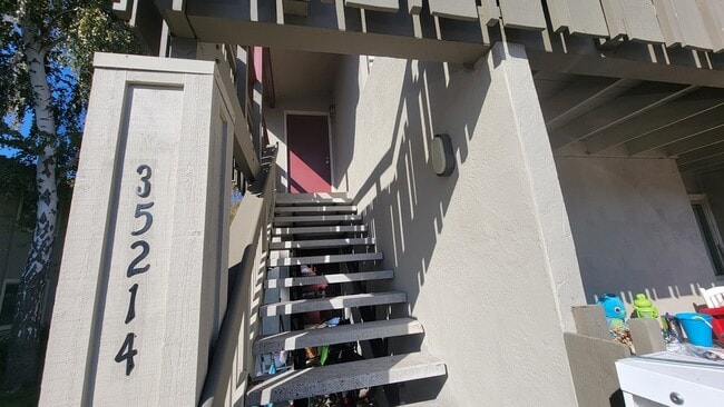 Building Photo - 35214 Lido Blvd