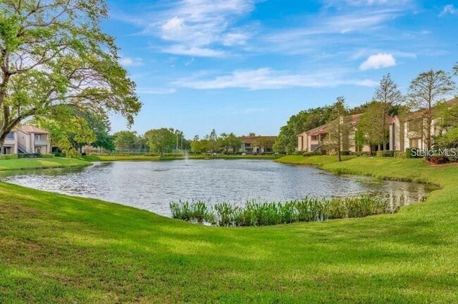 Building Photo - 10265 Gandy Blvd N