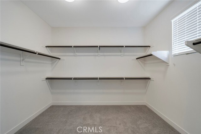 Building Photo - 4387 Avocado Grove Ln