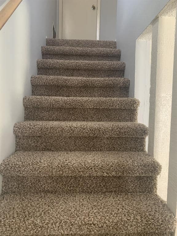 Building Photo - 11700 Argonne Forest Trail