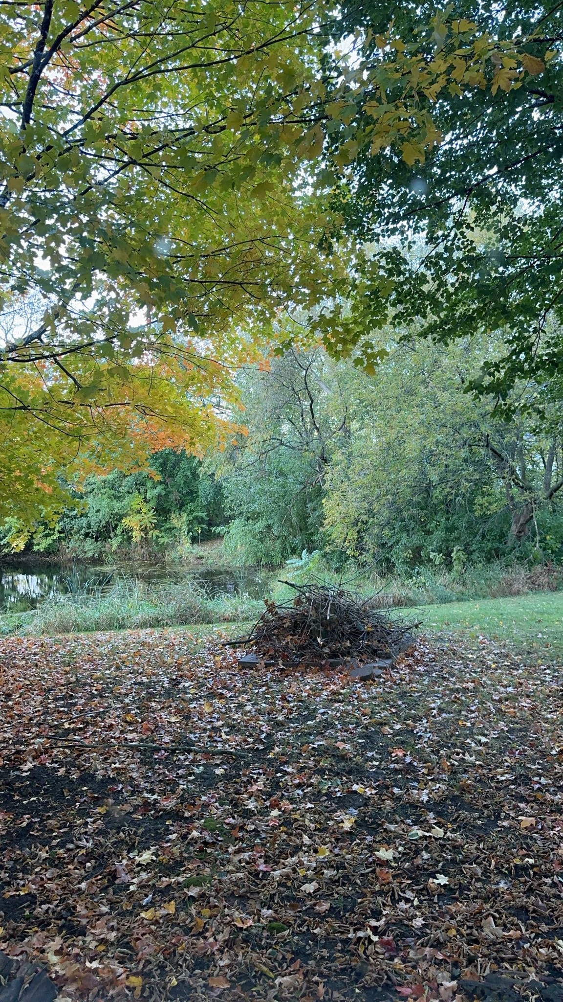 Building Photo - 316 N 8th St